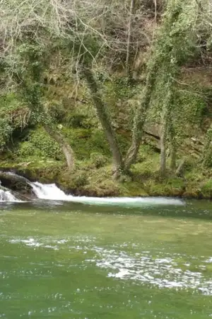 Projeto prevê reabilitação do Rio Alfusqueiro, num percurso de 3 quilómetros